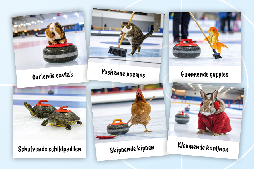Lees meer over het artikel Opener 2025